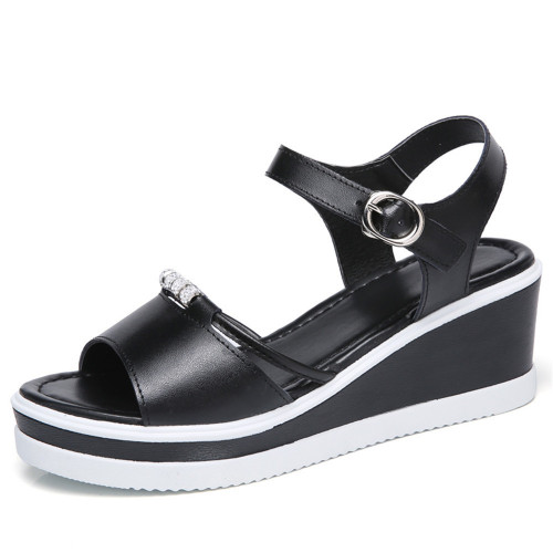 black1e0f25.jpg
