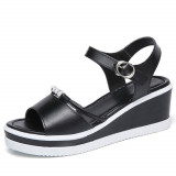 black1e0f25