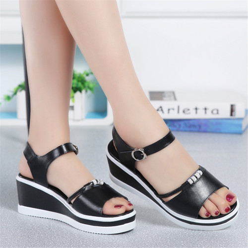 black314359.jpg