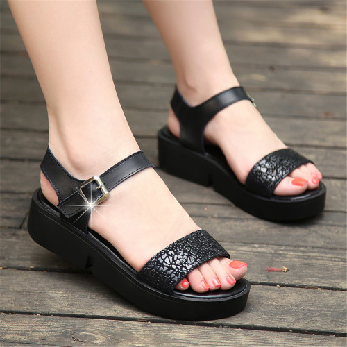 black6.jpg