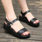 black6
