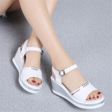 white10b15e1