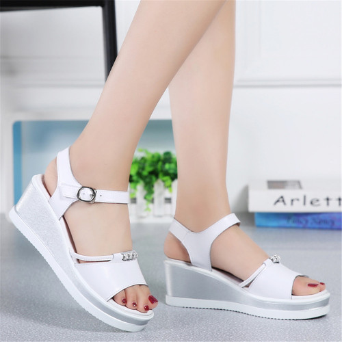 white24ebd6.jpg