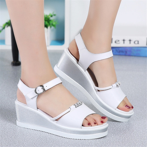 white336377.jpg