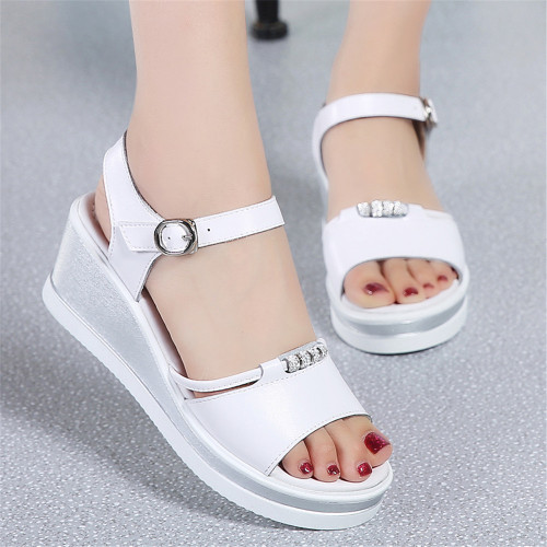 white4e4c67.jpg