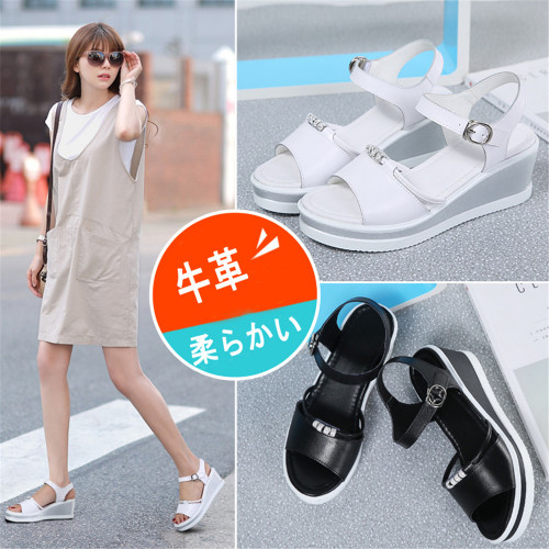 white5729da.jpg