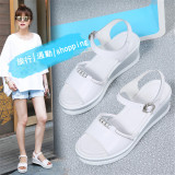 white7696ee