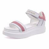 pink165e65
