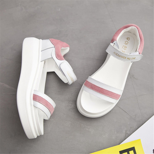 pink36eeca.jpg