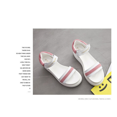 pink626110.jpg