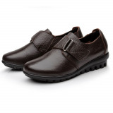 brown2