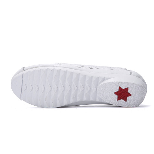 white4.jpg