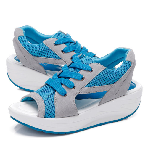 blue5.jpg