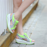 green6