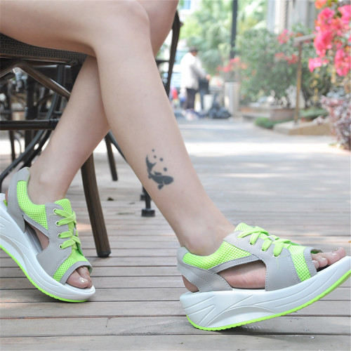 green7.jpg