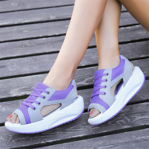 purple2.jpg