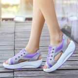 purple4