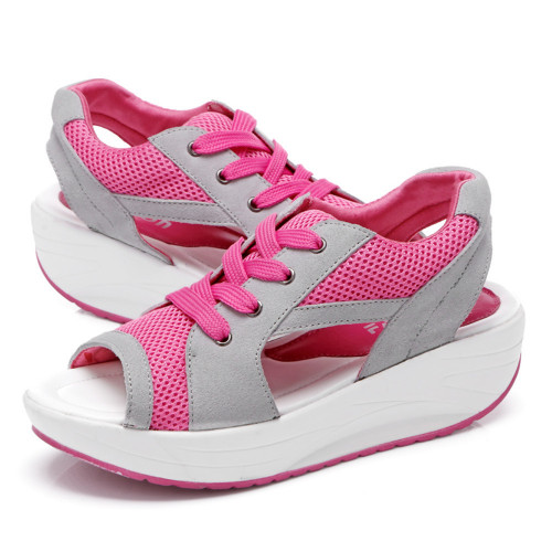 rose582849.jpg