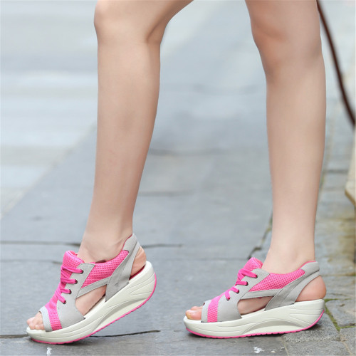 rose775058.jpg