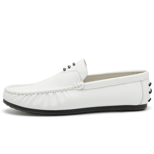 white10.jpg