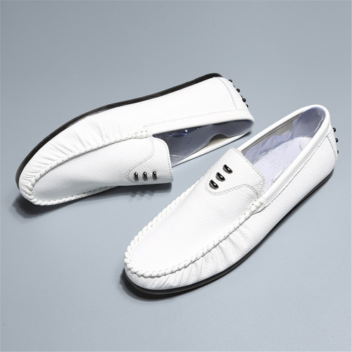 white5.jpg