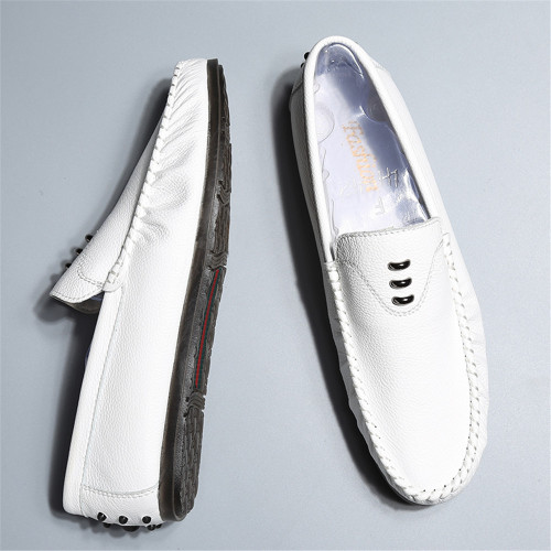 white6.jpg