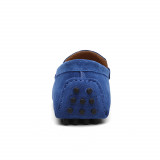 royalblue3