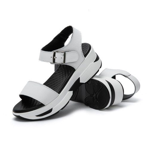 white1.jpg