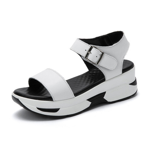 white10.jpg