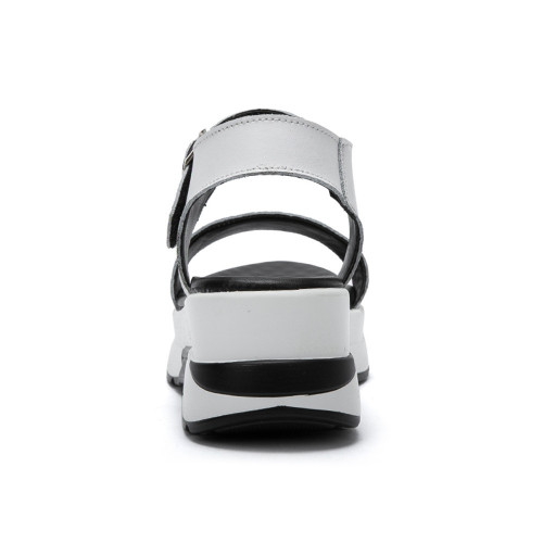 white3.jpg