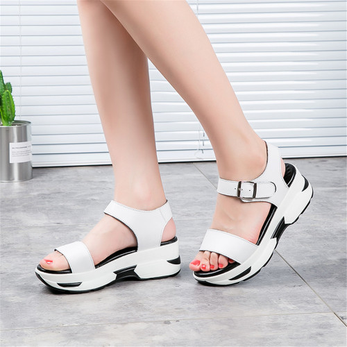 white5.jpg