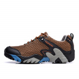 brown2