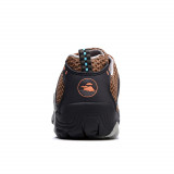 brown5