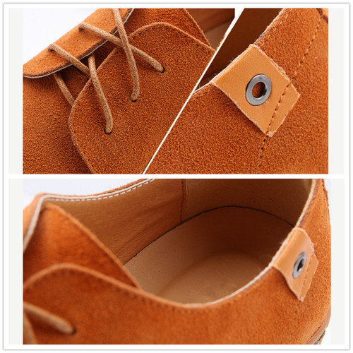 Camel5.jpg