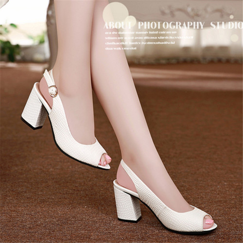 white849200.jpg