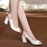 white849200