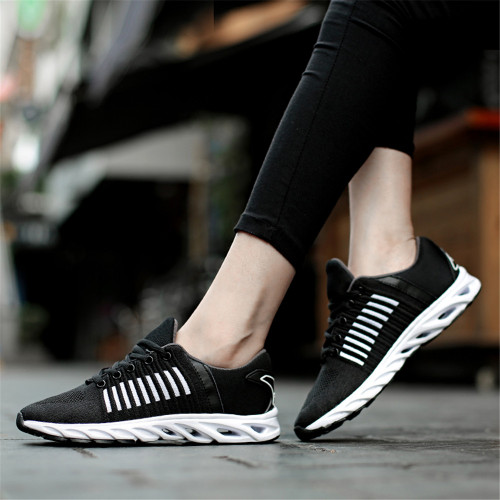 black5.jpg