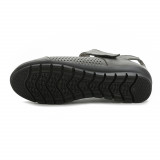 gray231819