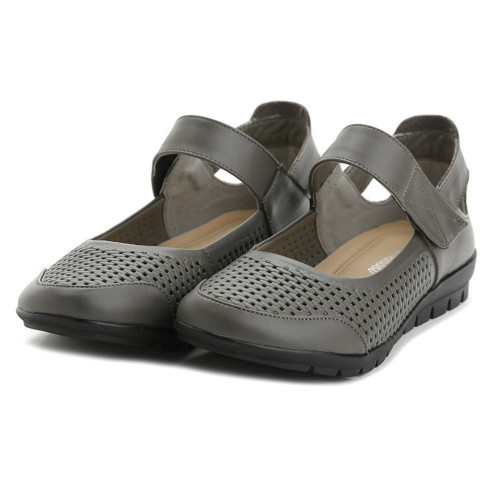 gray81dd52.jpg