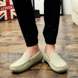 lightgreen5