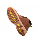 redbrown5